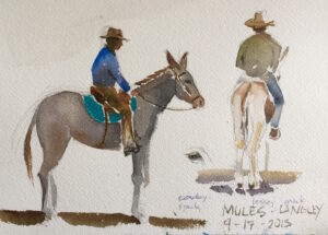 Sketching at the Ty Evans Mule training clinic, 2015